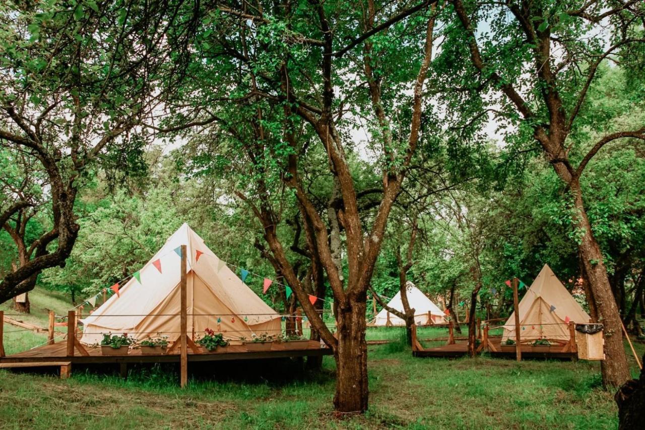 My Lake Glamping Dalnic Exterior photo
