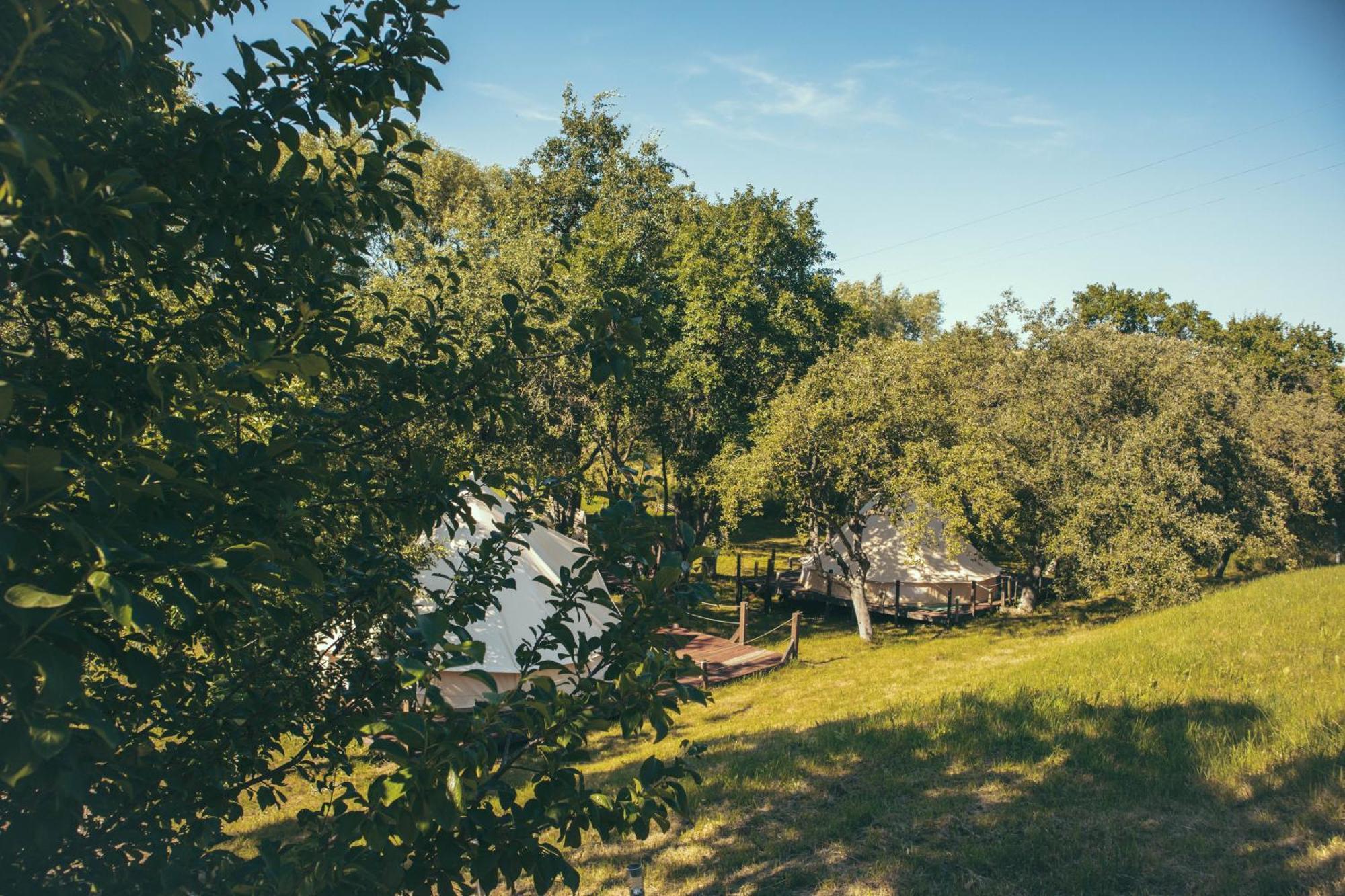 My Lake Glamping Dalnic Exterior photo